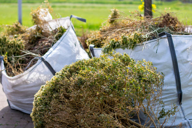 Best Electronics Removal Services  in Lathrop, CA